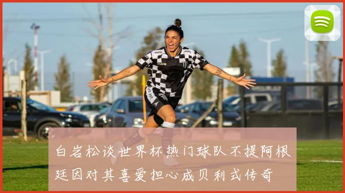 白岩松谈世界杯热门球队不提阿根廷因对其喜爱担心成贝利式传奇